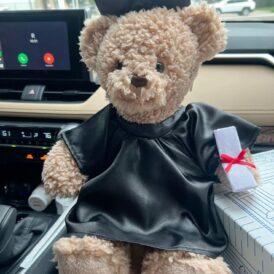 gấu tốt nghiệp