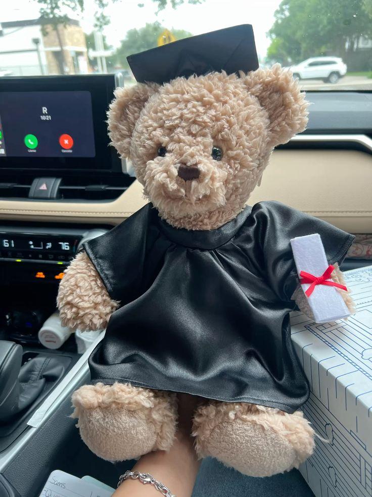 gấu tốt nghiệp