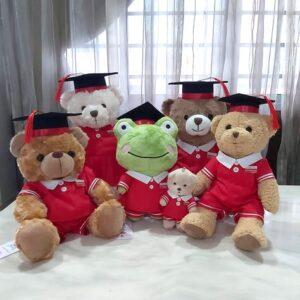 gấu tốt nghiệp