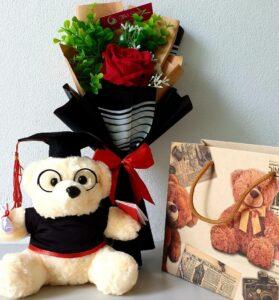 gấu bông tốt nghiệp