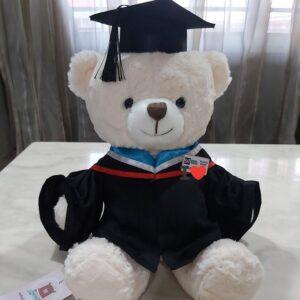 gấu tốt nghiệp