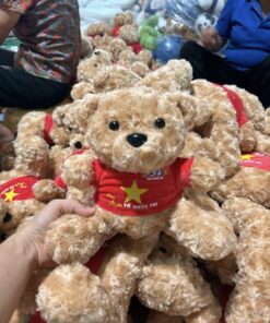 gấu tốt nghiệp