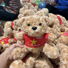 Gấu tốt nghiệp giá sỉ