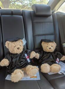 gấu tốt nghiệp