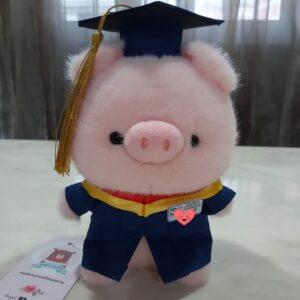 gấu tốt nghiệp