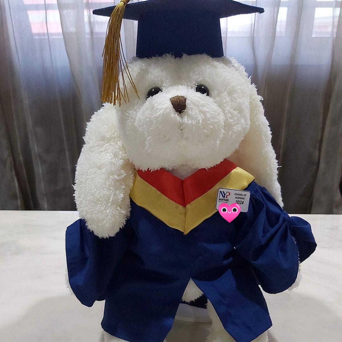 gấu tốt nghiệp