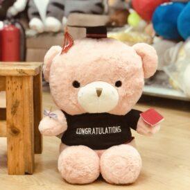 gấu bông tốt nghiệp