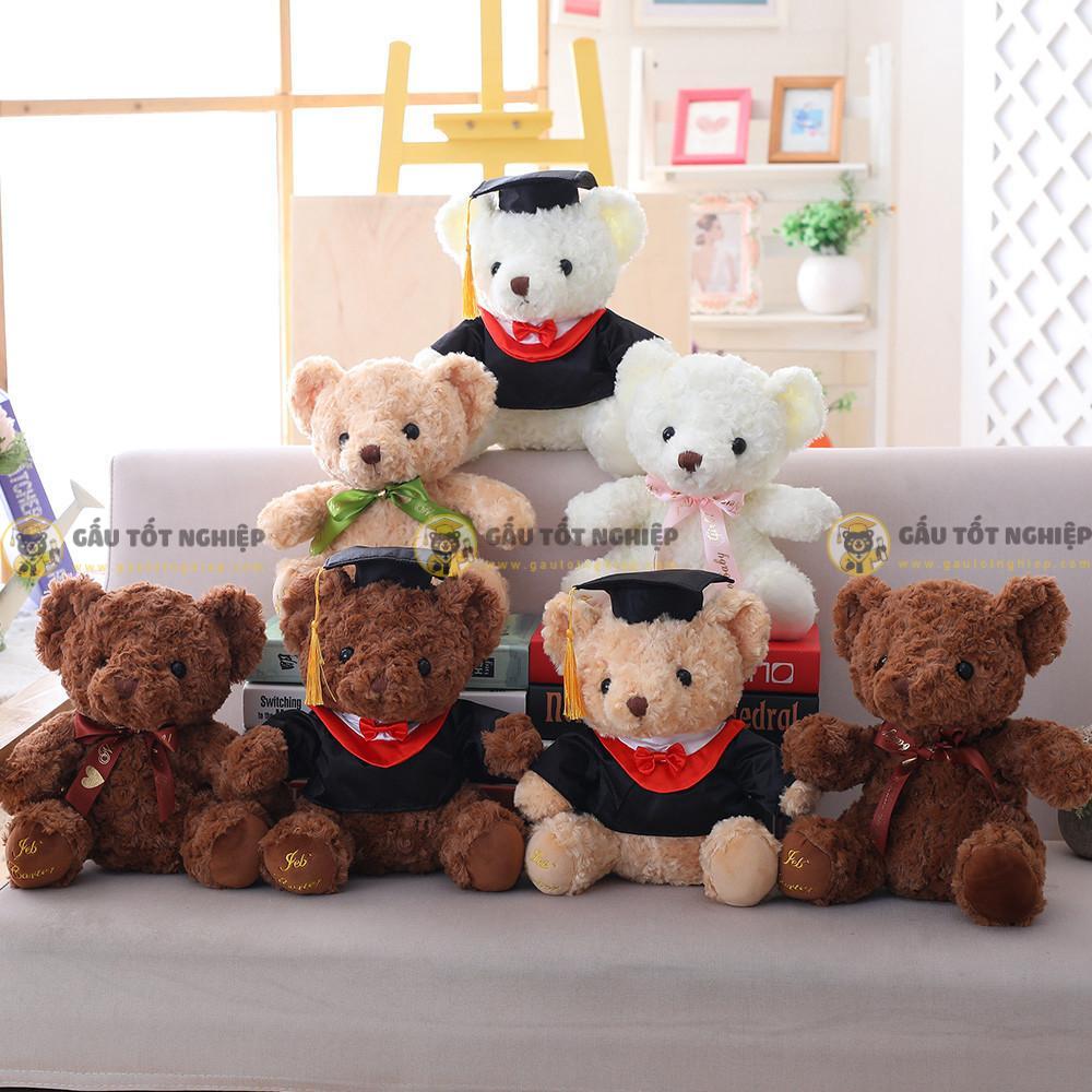 Gấu Tốt Nghiệp Đặt Theo Yêu Cầu Bao Lâu Có? Thời Gian Sản Xuất Chi Tiết 1 gấu tốt nghiệp