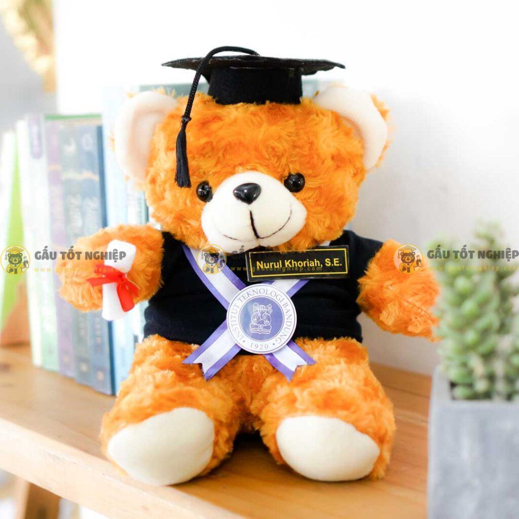Gấu Tốt Nghiệp Làm Quà Tặng Sự Kiện Ý Nghĩa, Độc Đáo 1 gấu tốt nghiệp