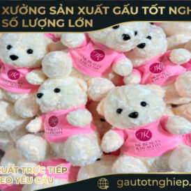 Gấu Bông Thiết Kế Theo Yêu Cầu