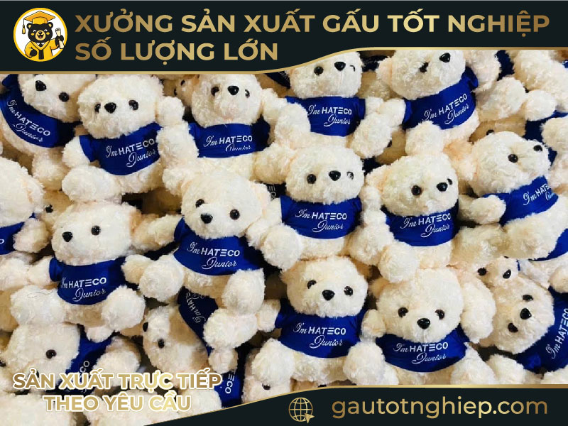 Gấu bông tốt nghiệp cử nhân