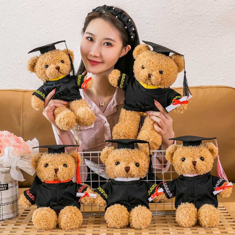 Gấu Tốt Nghiệp Giá Rẻ – Có Nên Mua Không?